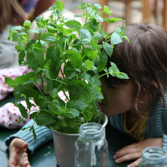 Natural Table